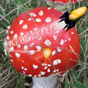 click here to buy 'A Little More Suspicion In Our Fairytales Plz'